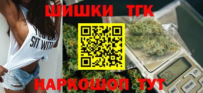индика Гусев