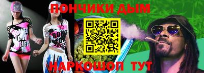 индика Гусев