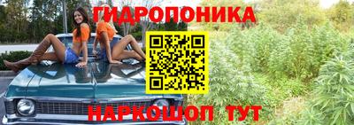 индика Гусев