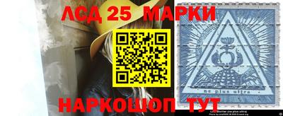 индика Гусев