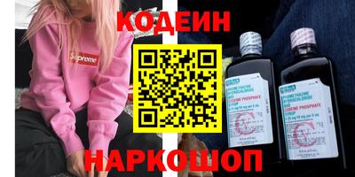 индика Гусев