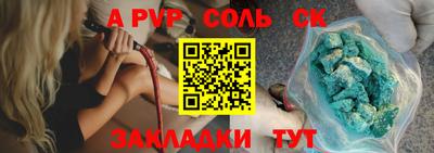 индика Гусев